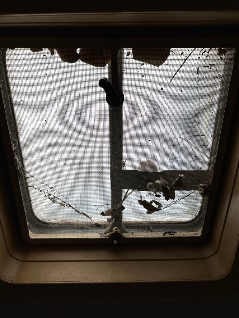 Cobweb-covered skylight inside a vintage travel trailer, viewed from below—equal parts rustic and alarming.