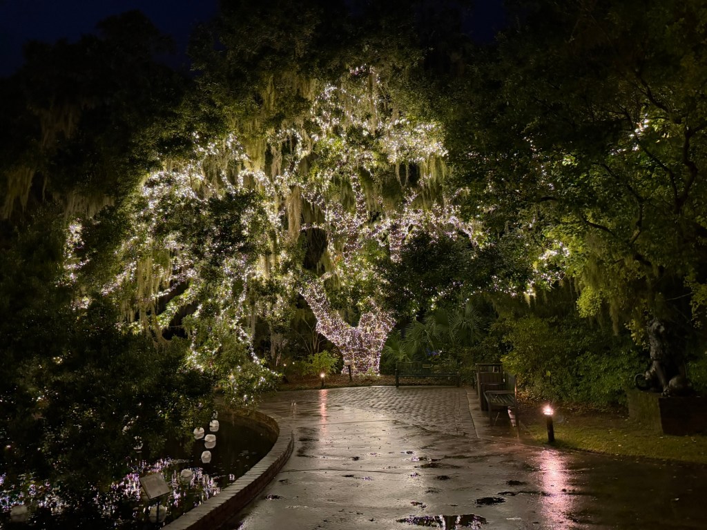 A large oak tree at Brookgreen Gardens illuminated with thousands of white lights at night. The wet pathway curves around a reflective pond, and the scene is surrounded by lush greenery and hanging moss, creating a glowing, enchanted atmosphere.